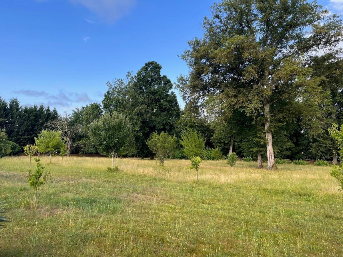 ancien chai rénové dans un parc clos de 3 hectares Lamothe-Montravel Esterno foto